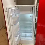 Laurus * Palanga
