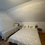Laurus * Palanga