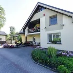 Laurus Palanga