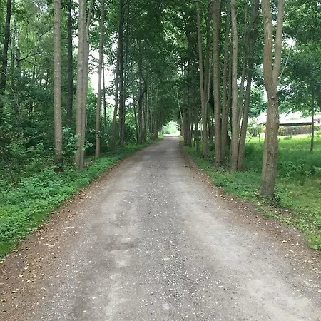 Laurus 아파트 팔랑가