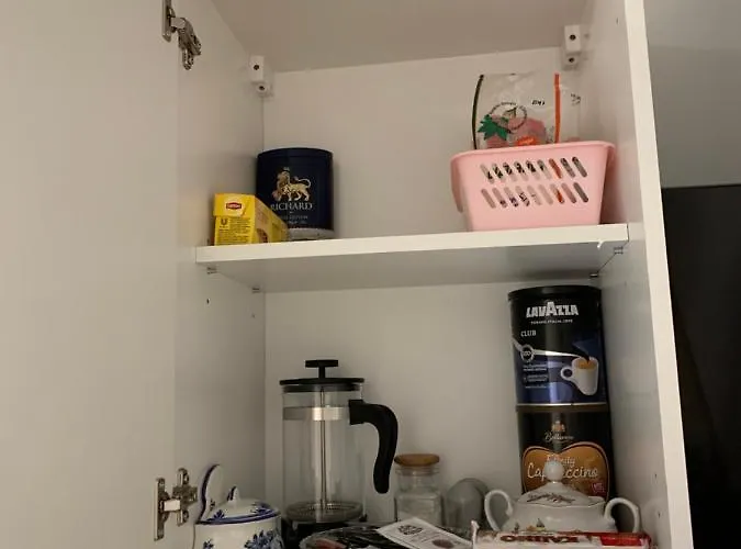 Laurus Паланга