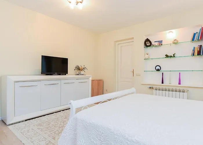 Laurus * Паланга