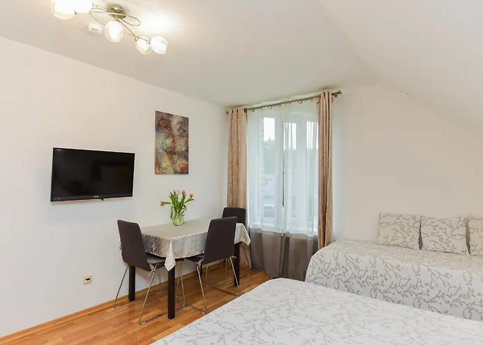 Laurus Паланга