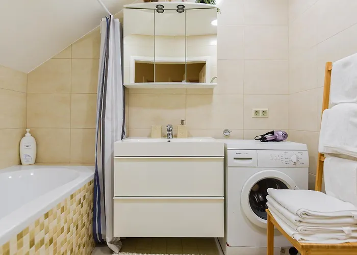 Laurus * Паланга