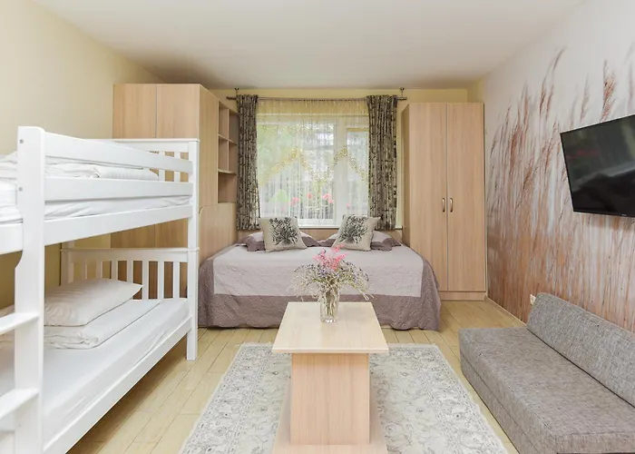 Laurus Паланга