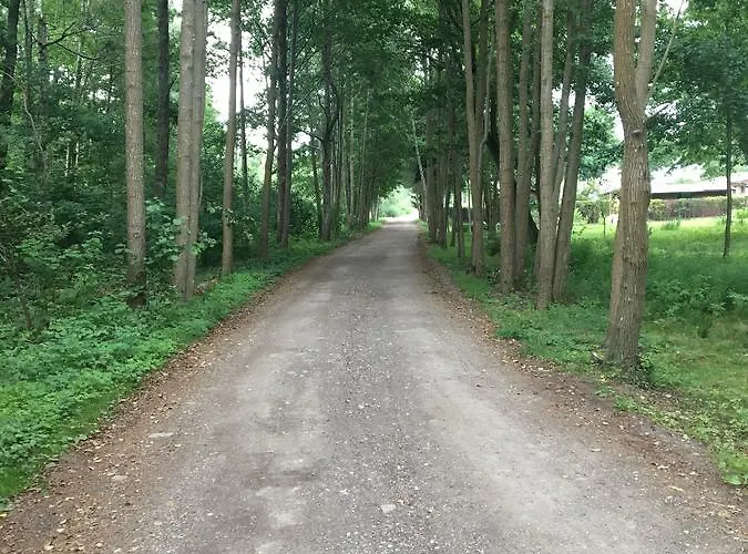 Laurus 아파트 팔랑가