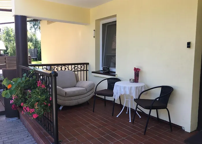 Laurus Паланга