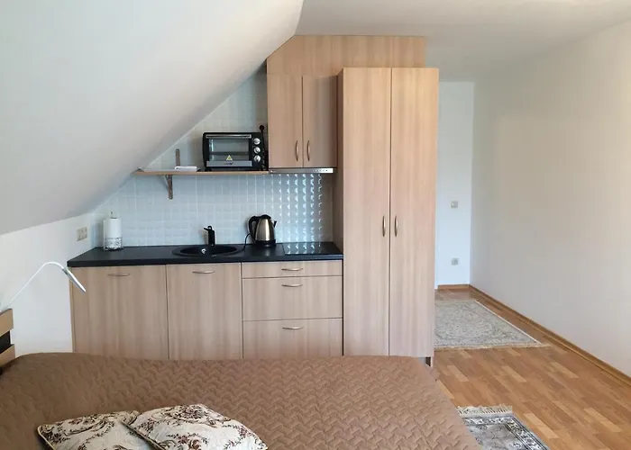 Laurus * Паланга