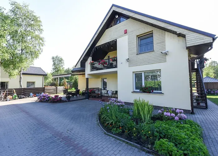 Laurus Паланга